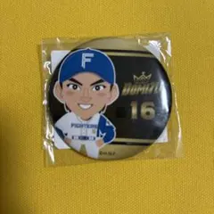 北海道日本ハムファイターズ 達孝太選手缶バッジ - メルカリ