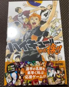 ハイキュー!! 排球援!! 未開封