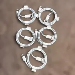 iPhone 充電器 純正 タイプCライトニングケーブル Apple正規品