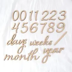 Item thumbnail for item c9df23bb-9d42-4fed-9fe3-d30a22b5822d