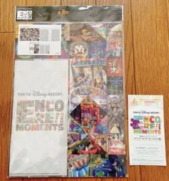 ディズニーリゾート アンコール！ザ・モーメンツ展 クリアファイル チケットケース