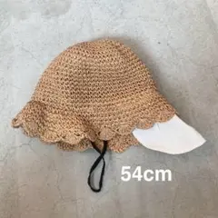 Item thumbnail for item 736e9967-537f-4a68-8b78-5efc19739a9f