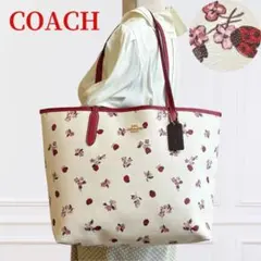 Item thumbnail for item 56316d42-e334-497f-b34c-21d584a00d65