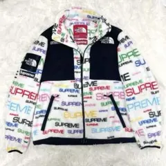 【美品】シュプリーム×ノースフェイス スティープテック フリース メンズSP