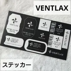 VENTLAX ベントラックス2個セット+枕+リペアシール+ステッカー VENTLAX ベントラックス2個セット+枕+リペアシール+ステッカー