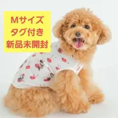 ジェラートピケ　新品　ミニー　COOLプルオーバー　ホワイトM