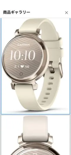 ガーミン(GARMIN) Lily 2 Sport/Classic