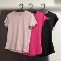 スポーツブランド　Tシャツ 3枚
