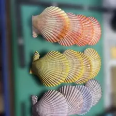 rabbit123様 リクエスト 3点 まとめ商品