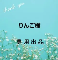 りんご様♡専用出品
