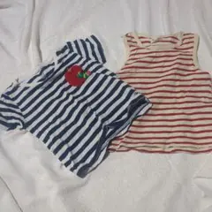 はらぺこあおむし ストライプ 90