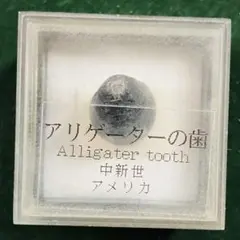 Item thumbnail for item bda2ead9-3649-401a-bc51-3afe5a1e265b