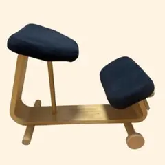 引き取り限定】【美品・正規品】バランススタディ（姿勢矯正椅子