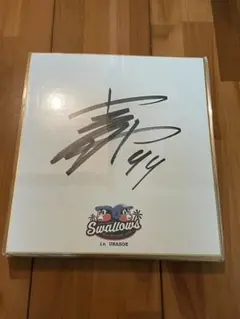 2026年最新】青柳晃洋サインの人気アイテム - メルカリ