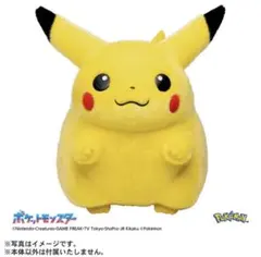 ポケットモンスター ポケモン30周年記念 おかえり！ピカチュウ1/1