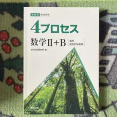 4プロセス数学Ⅱ+B 解答編