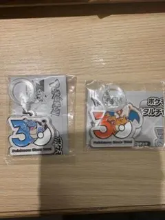 ポケモン　30周年 メタルチャームマスコット　2種セット