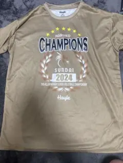 ラスト1点 Mizuno 駿台学園 男子バレーボール部 Tシャツ 貴重 エンジ