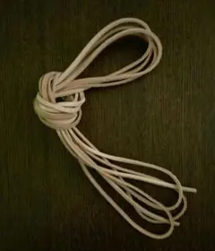 Item thumbnail for item 79a005e2-967f-4ceb-b2da-4d290a40e7ae