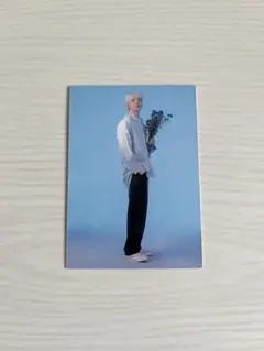 seventeen ウォヌ トレカ