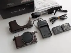 Panasonic LUMIX DMC-GM1SK ボディ ブラウン　訳ありのサムネイル