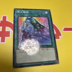 魂の解放 エラー - メルカリ
