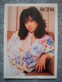 2026年最新】中森明菜 付録の人気アイテム - メルカリ