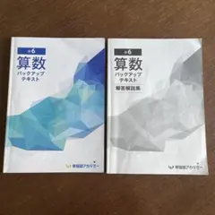 2026年最新】早稲田アカデミー 小6 バックアップテキストの人気