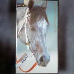 Item thumbnail for item b2b88bc3-247c-47f8-800b-bb84625ad30f