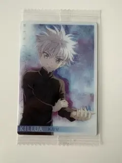 【p様専用】HUNTER×HUNTER イタジャガ キルア