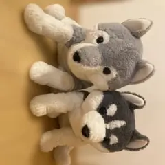 くったり 柴犬 元気いっぱい JB ぬいぐるみ 30cm くろりん しろりん