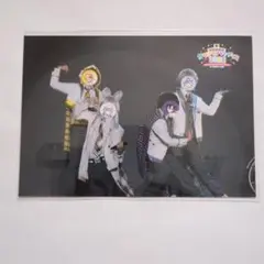 【即購入OK】からぴちパラダイス2025 実写ブロマイド