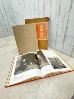世界救世教 岡田茂吉 東方之光 『世界一家』 短冊 世界救世教 岡田茂吉 東方之光 『世界一家』 短冊
