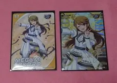 【匿名配送】所恵美　カードフォリオ MOIW2025