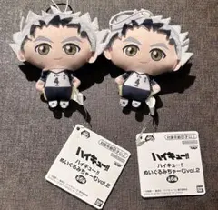 ハイキュー ぬいぐるみちゃーむvol.2 木兎光太郎