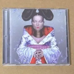 ビョーク　Homogenic