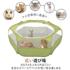 Item thumbnail for item 483d75c9-bba7-4c42-997d-9441cb77d55f