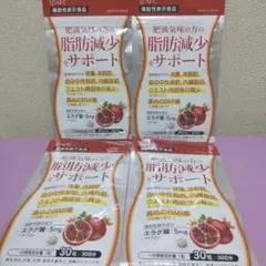 Item thumbnail for item e3dae635-cfb0-45bc-a0f0-22c2eda641af