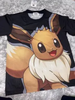 ポケパーク カントー イーブイTシャツのサムネイル