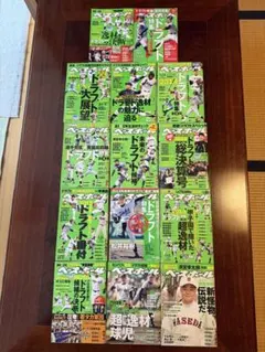 ベースボールマガジン ドラフト特集 2013-2014 大谷翔平❌　甲子園　希少 ベースボールマガジン ドラフト特集 2013-2014 大谷翔平❌ 甲子園 希少