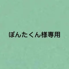ぽんたくん様専用