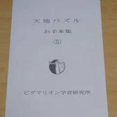 【匿名配送】ピグマリオン 天地パズル お手本集 ⑤