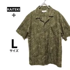 Item thumbnail for item d2e9e821-5c34-4649-bf1d-2e5e6c42898a