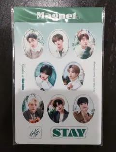 Stray kids スキズ 2022 シーグリ マグネット セット