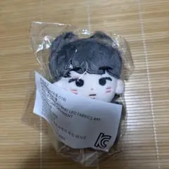 ウォヌ　ぬいぐるみ　10cm 新品　マスター　セブチ　svt seventeenぬいぐるみ ウォヌ 10センチ マスター 大人気