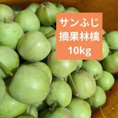 摘果林檎　サンふじりんご　加工用　10kg 送料込み 33のサムネイル