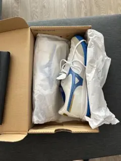 Item thumbnail for item 03c7a1f5-3f9a-455a-a9b8-0909daf58e06