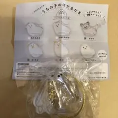 うちの子のけだまだま 犬のけだまだま ポメラニアン