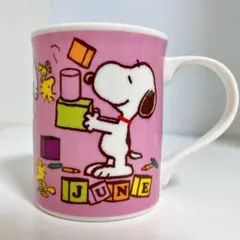 【年末限定お値下げ】スヌーピー 6月 JUNE マグカップ ピンク 陶器