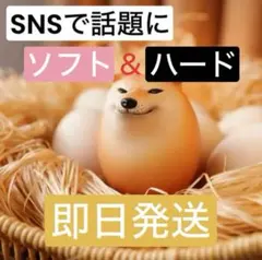 柴犬スクイーズ しばこ　しばいぬ　 卵型 ソフト　ハード　1ペア　2点セット